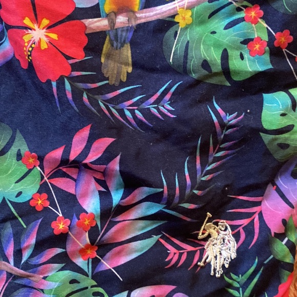 US polo shorts - Picture 2 of 4